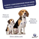 Ceva Pet Phos Growth Ca/P=2 cățeluș 100 comprimate
