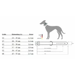 Collier pour Chien Hunter Aalborg Marron XS 24-29 cm
