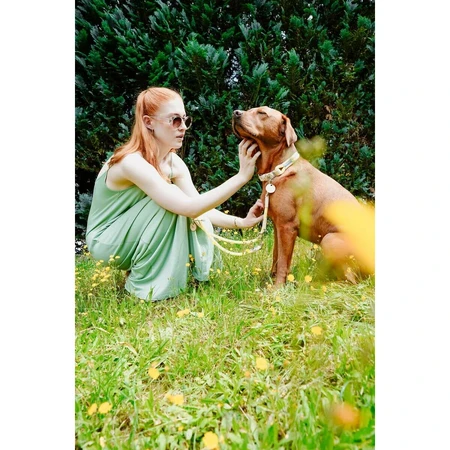 Collier pour Chien Hunter Malia Citron M/L 45-54 cm
