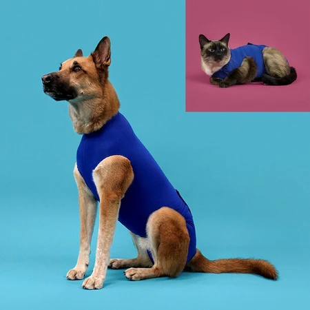 Herstelvest voor huisdieren KVP 21-24 cm Blauw
