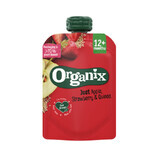 Apfel-Erdbeer-Quinoa-Snack, 100 g, Organix
