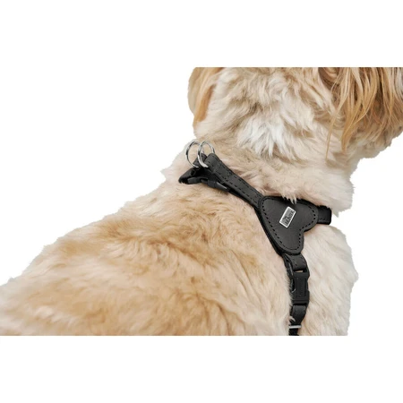 Șuncă pentru câini Hunter SOHO MINI Black XS