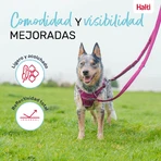 Hundeleine Company of Animals Burgunderrot L