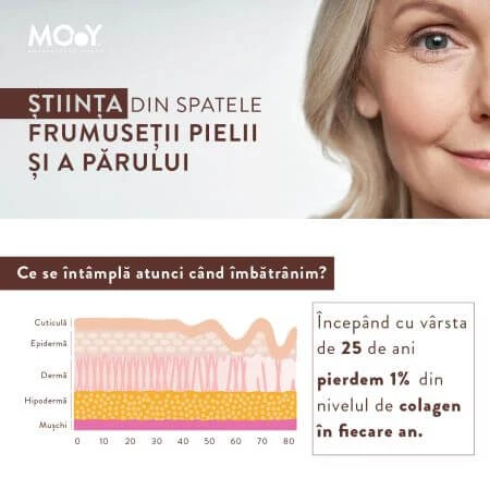 Crema di collagene bovino con peptidi m31, 15 bustine x 7 g, Molecules of Youth
