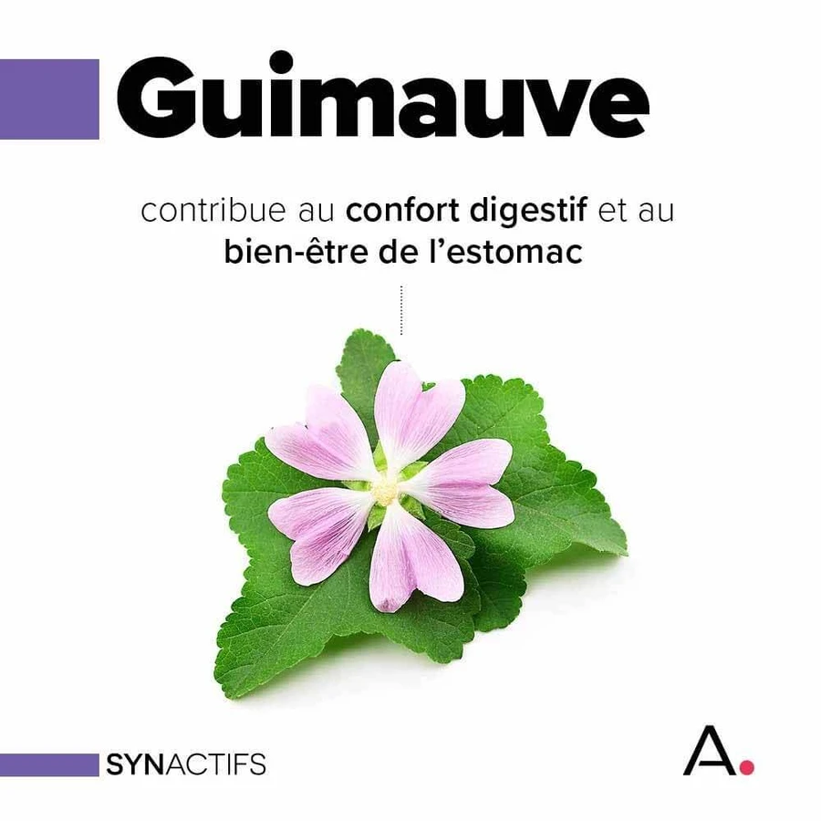 Aragan Synactifs STOMAPROTECT® BIO Stomach 14 comprimate masticabile sau de supt