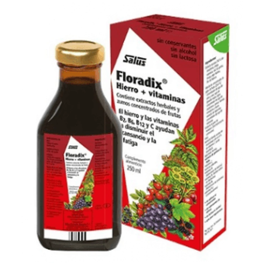 Floradix Eisen + Vitamine 250ml