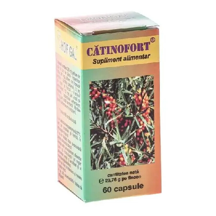 Catinofort, 60 capsule, Hofigal