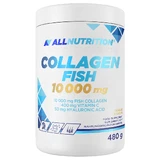 Allnutrition Kollagen Fisch 10000 mg, Orangengeschmack, 480 g