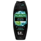 Palmolive Men Intense, Duschgel, Ice Blast, 500 ml