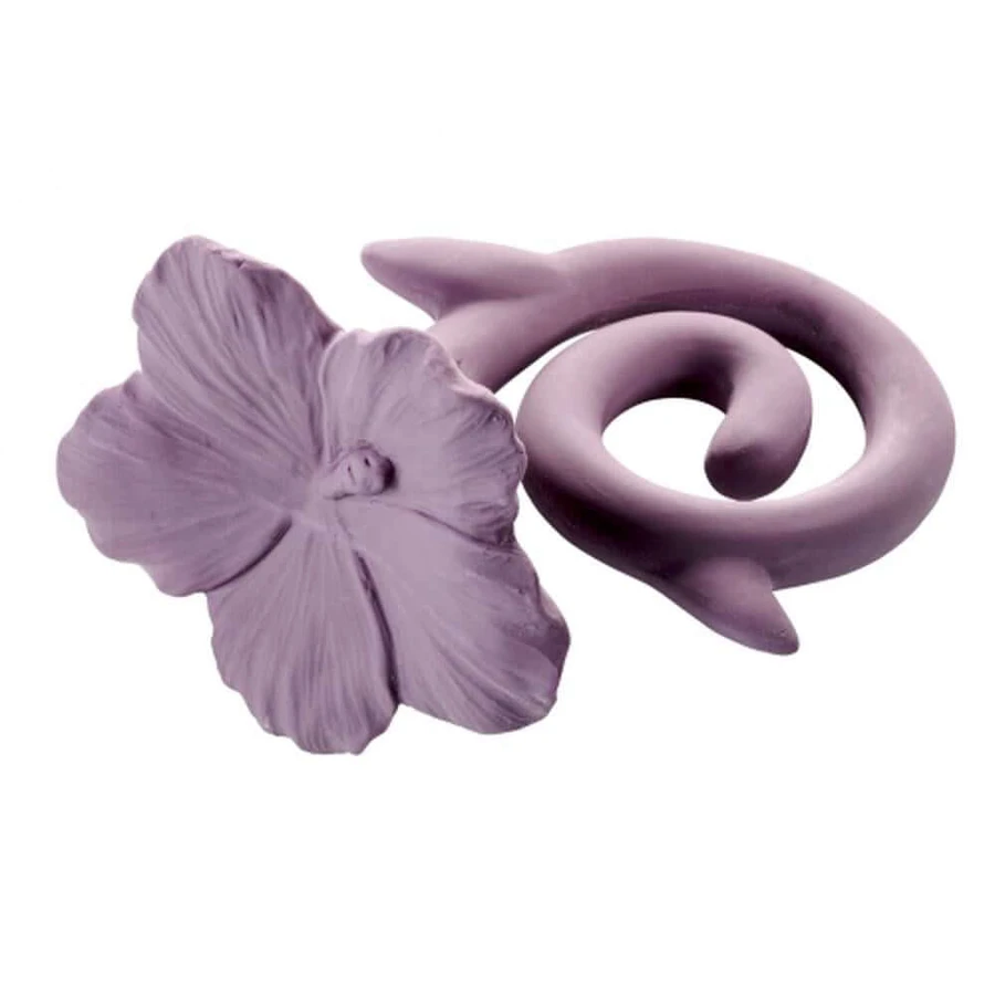 Natruba, tettarella in gomma naturale, fiore delle Hawaii, dalla nascita, 1 pezzo