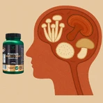 Lanco Nutritions Premium Mushroom Complex, 60 capsule