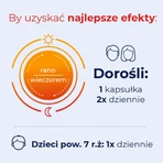 Debutir Forte, 2x60 gélules