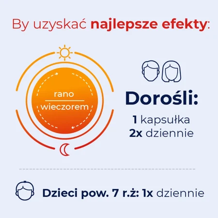 Debutir Forte, 2x60 gélules