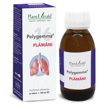 Polygemma 16 Plamani, 120 ml, Pflanzenextrakt