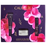 Premier Cru Xmas 2025 set, cremă de ochi, 15 ml + ser de față, 10 ml cadou + cremă de față, 15 ml cadou