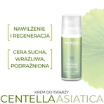 Sylveco FeedSkin Centella Asiatica, Gesichtscreme mit Centella Asiatica, 50 ml
