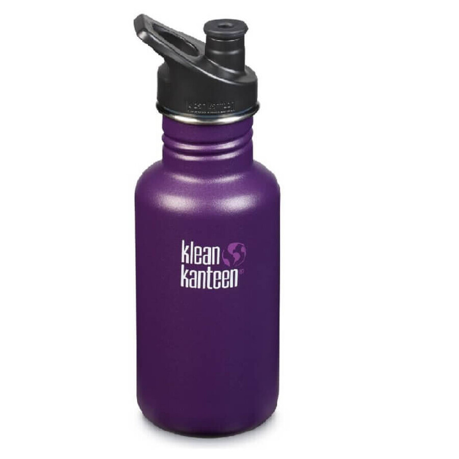 Recipient din oțel inoxidabil 532ML, Winter Plum, 1005735, Klean Kanteen