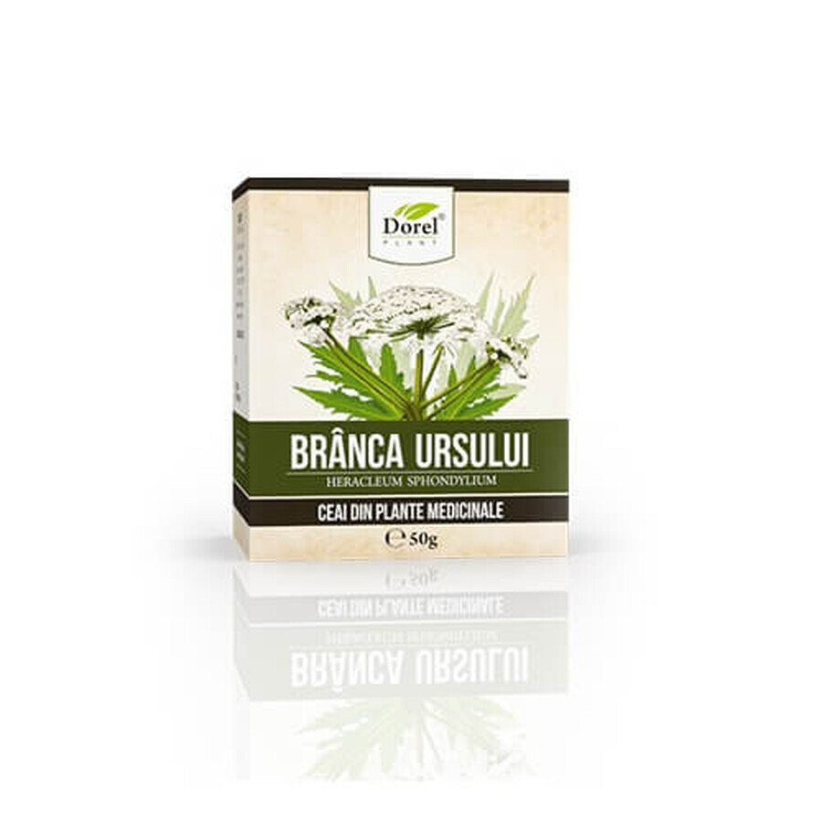 Ceai de Brânca ursului, 50 g, Dorel Plant