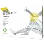 Erbozeta Zeta Arthro-Cur Suplement diety na stawy i kości 30 tab.: ceny i cechy