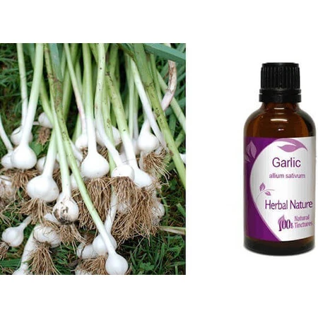 Tinctură de Usturoi 50ml Nature & Body
