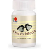 DXN Löwenmähne 120 Datei