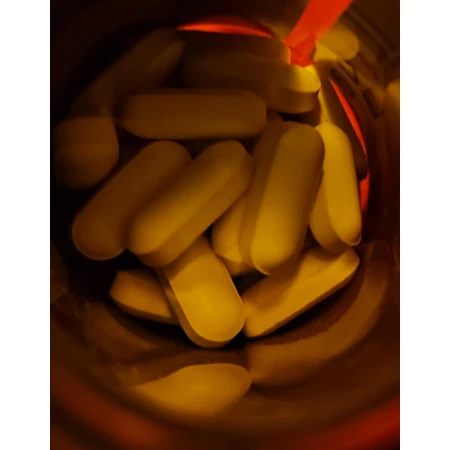 Quest Kyolic Ail 600mg 30 fichiers