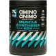 Physis Laboratory Amino Animo Muskelsynthese Bio Gluten- und Laktosefrei mit Vanillegeschmack 500gr