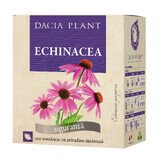Echinacea Tee, 50g, Dacia Plant