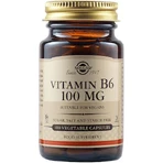 Solgar Vitamin B6 Vitamin for Nervous System Health 100mg 100 veget capsules