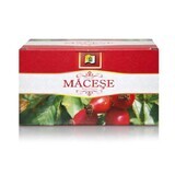 Macese Tee, 20 Portionsbeutel, Stef Mar Valcea