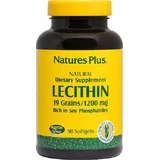 Nature's Plus Lecithin 1200mg mit Geschmack Unaromatisiert 90 Softgels