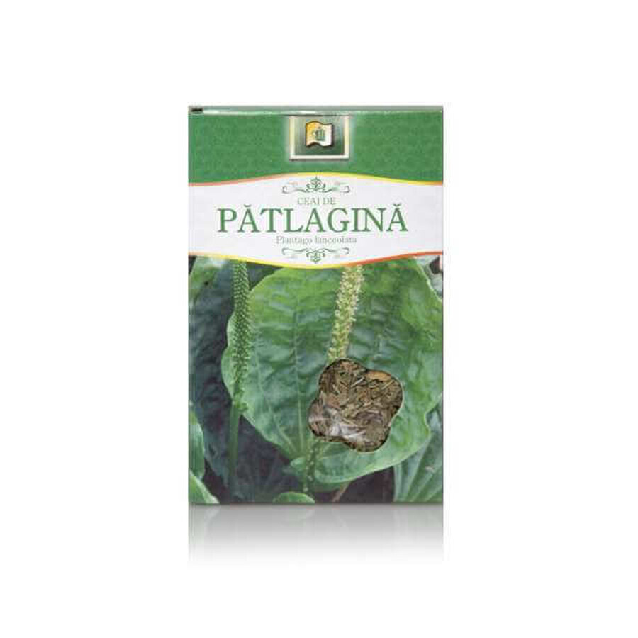 Patlagina Tee, 50 g, Stef Mar Valcea