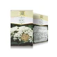 Herbata z czarnego bzu, 50 g, Stef Mar Valcea