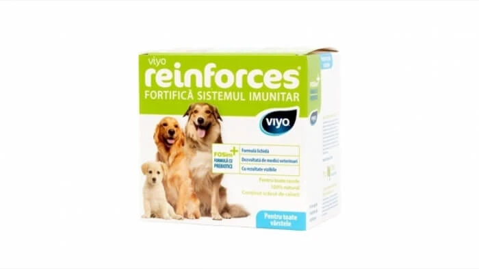 Viyo Reinforces für Hunde jeden Alters 1 x 30 ml