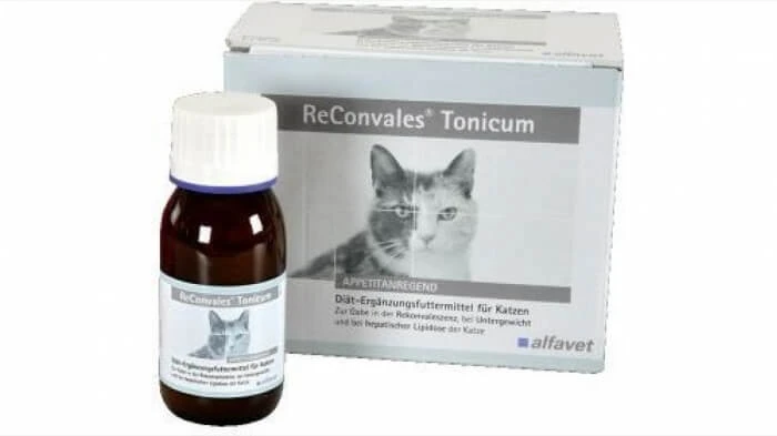ReConvales Tonicum Katze 1 Flasche - 45 ml