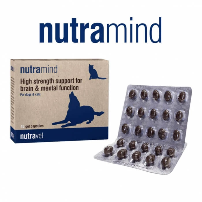 Nutravet Nutramind Hunde & Katzen, 45 Kapseln