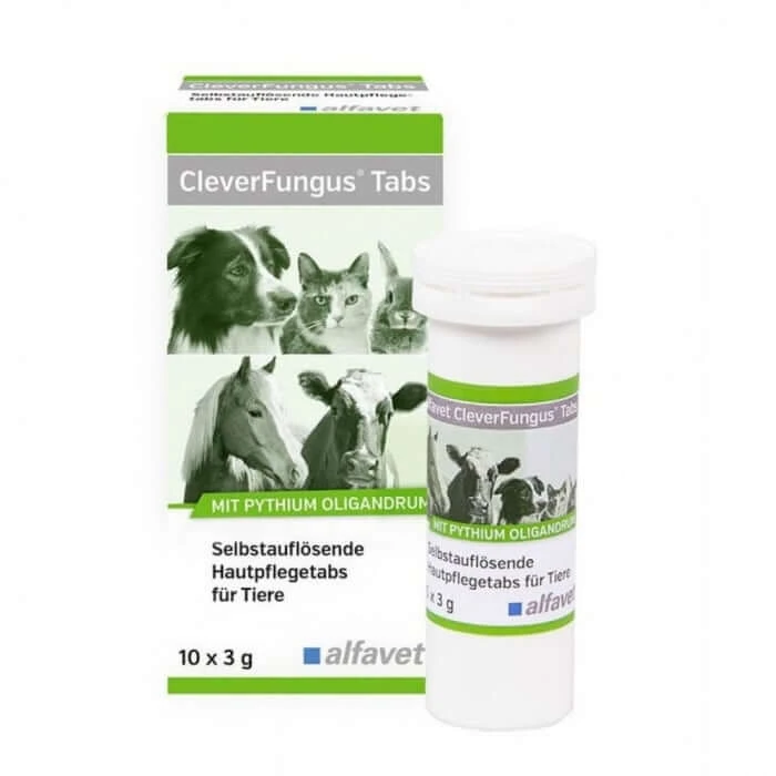 Alfavet Clevere Pilztabletten 10x3g