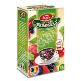 Ceai Fructele Carpatilor Aromafruct, 75 g, Fares