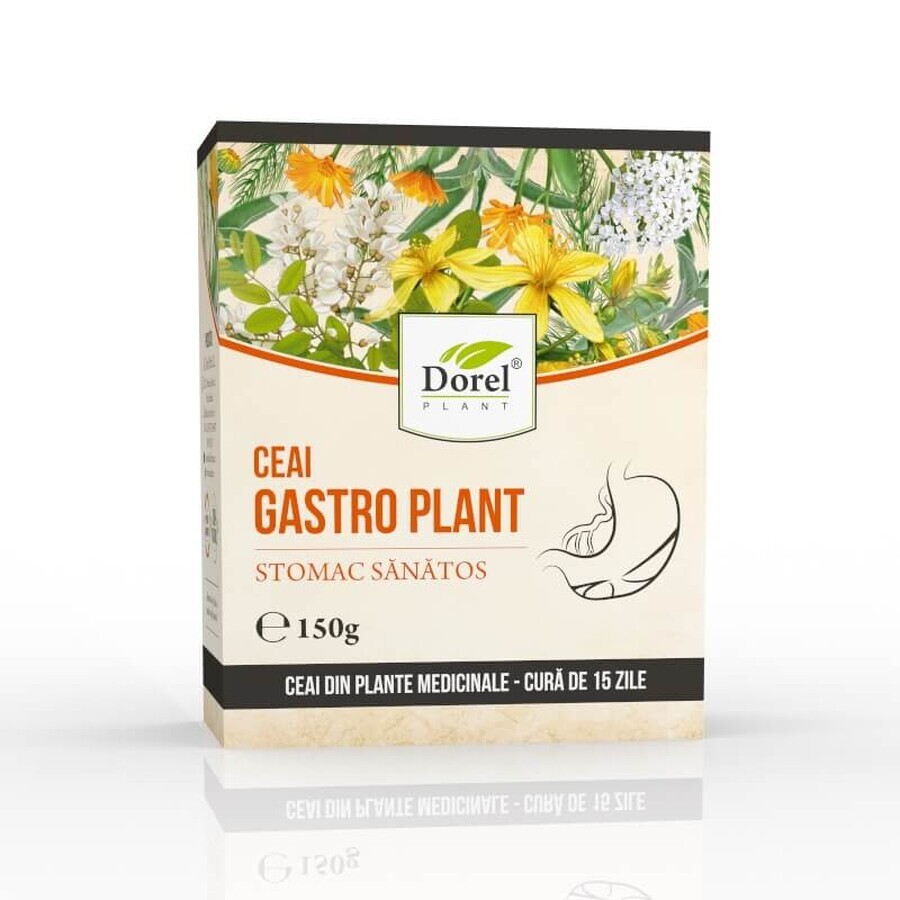 Gastro-Pflanze Gesunder Magen-Tee, 150 g, Dorel Plant