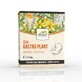 Gastro-Pflanze Gesunder Magen-Tee, 150 g, Dorel Plant