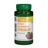 Grape seed extract with resveratrol, 90 vegetarian capsules, Vitaking