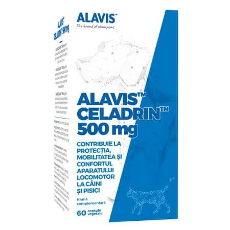 Gelenkergänzungsmittel für Hunde und Katzen Celadrin, 500 mg, 60 Kapseln, Alavis