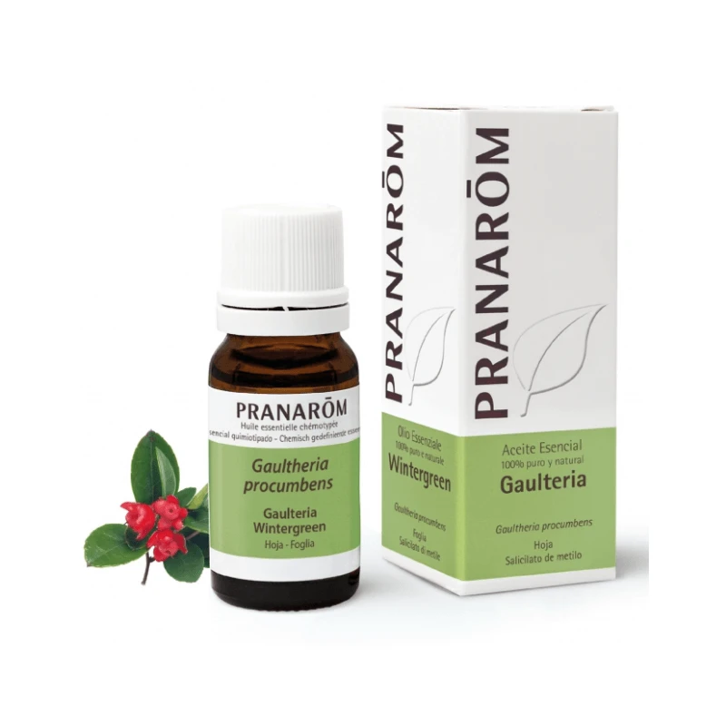 Pranarom Wintergrün Süßes Wintergrün Ätherisches Öl 10 ml, Gaultheria Procumbens