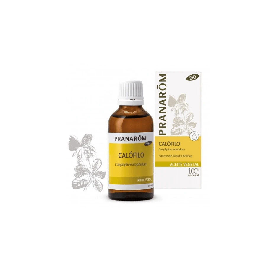 Pranarom Calophyllum Plantaardige Olie 50ml Bio