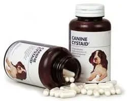 Cystaid Canine 120 Kapseln