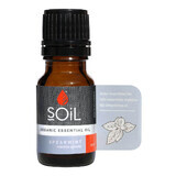 Mint essential oil created Pure 100% Organic ECOCERT, 10 ml, Soil.