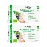 Arkopharma Arkofluido Arkofluido Artischocke Forte Ultraconcentrat + Aloe Vera, 2X20 Fläschchen