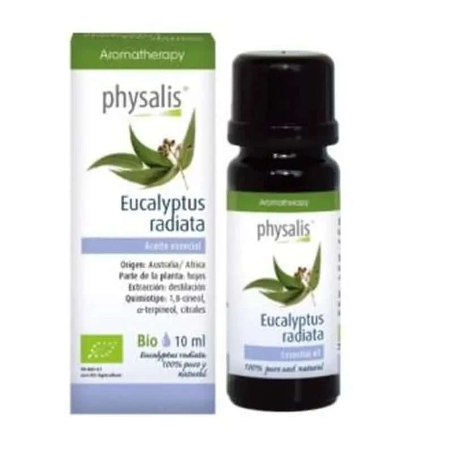 Physalis Essenz von Eukalyptus Radiata 10Ml. Bio