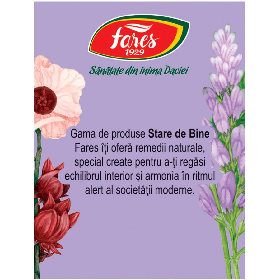 Tee Silueta Perfecta 2 Gewichtskontrolle M124 20 Beutel, Fares