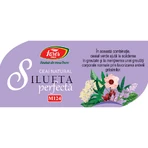 Tee Silueta Perfecta 2 Gewichtskontrolle M124 20 Beutel, Fares
